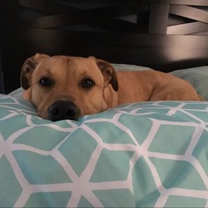 Meet your Posher, Danielle